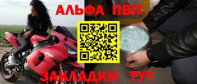 прущие грибы Тавда