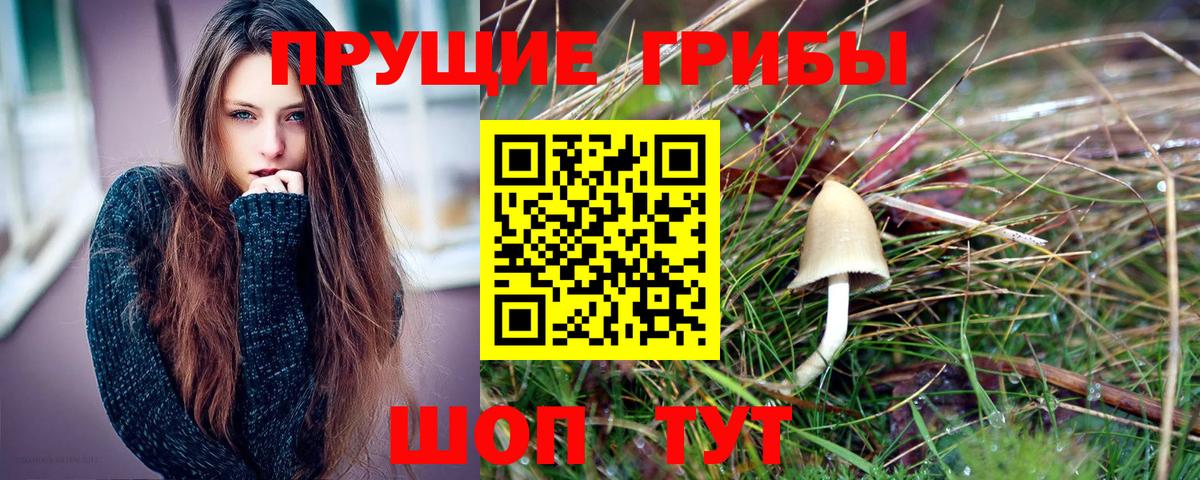 Псилоцибиновые грибы MAGIC MUSHROOMS  Вход с VPN  Галлюциногенные грибы мицелий  Симферополь 